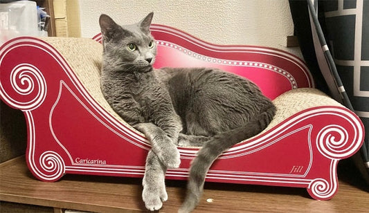 あなた色　ボルドー×チェリーピンクでおすましのジルちゃん