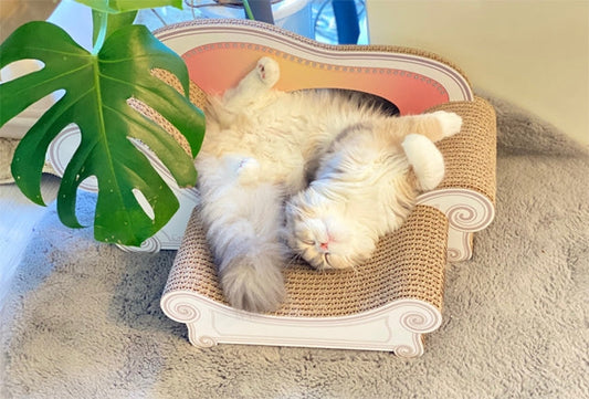 教えてもらわなくても使い方知ってるにゃ?　moco melon ちゃん