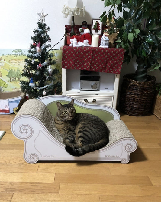 モスグリーンのグラングランでゆったりくつろぐキジトラのとらまる君