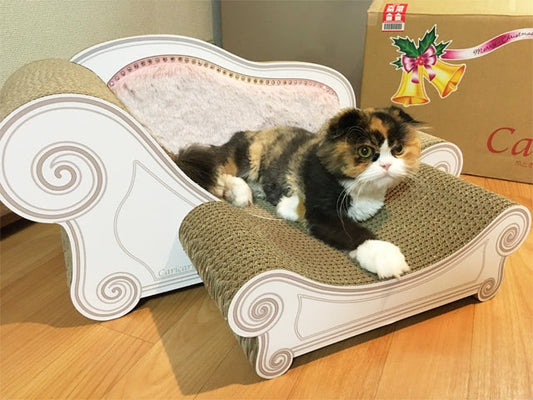 グラングラン スツールセットでゆったり♪　スコティッシュフォールドの寿寿ちゃん