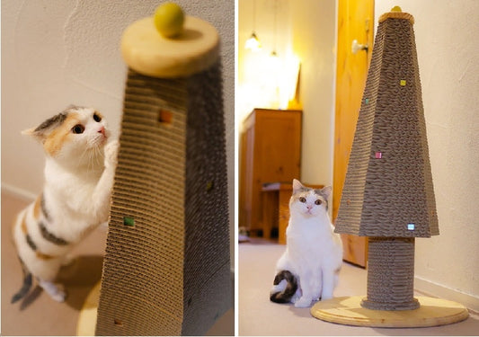 初めての縦型爪とぎはカリカリーナのツリー♪スコティッシュフォールドのモリーちゃん