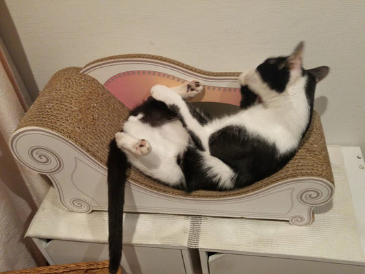 秋限定、大人気シリーズ「あなた色」でオーダーメードのカリカリーナをゲット！