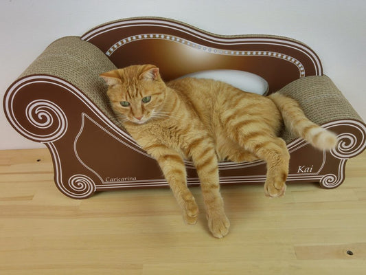 あなた色の予約開始は、9月1日からです