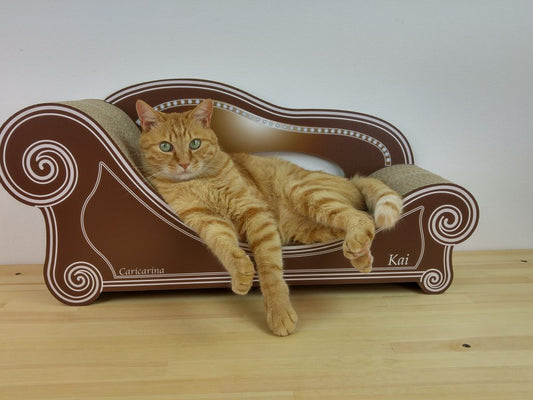 カリカリーナの撮影をして参りました～気になる新製品情報をチェック～