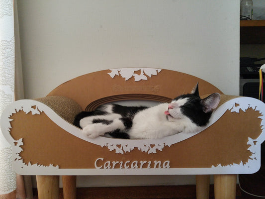 カリカリーナカレンダー2019 画像募集のお願い!!