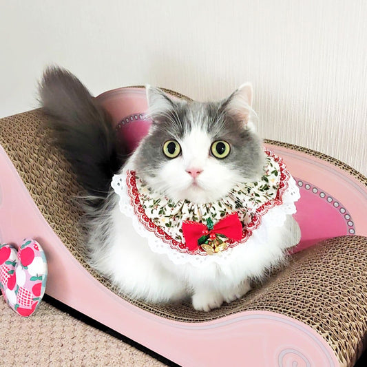 サクラ×桃のあなた色に座って、お姫様みたいなゆき子ちゃん