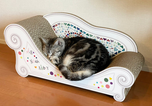 coppoの上でぐっすり♪アメリカンショートヘアのジルちゃん