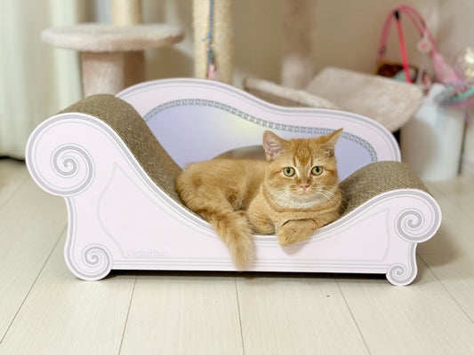 あなた色がお気に入りの場所に。ミヌエットのむぅちゃん