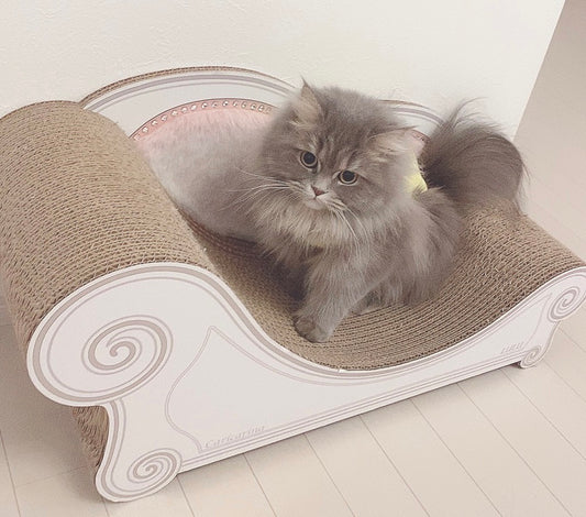 ふわふわのファーがお似合い♡サイベリアンのるるちゃん