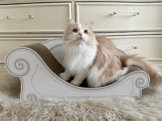 あなた色ホワイト×ホワイトがお似合い♡ラガマフィンのモワルーちゃん