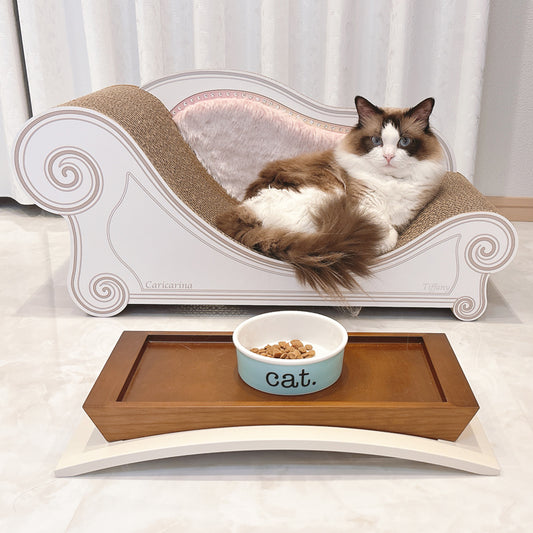 Luceがお気に入りの寝床に。ラグドールのティファニーちゃん