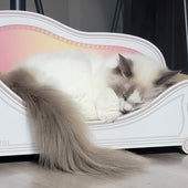 毎日カリカリーナを愛用♪ラグドールのになちゃん