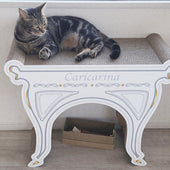 設置した途端、跳びのった！アメリカンショートヘアーのれおたんちゃん