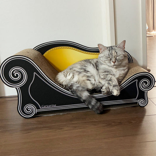 Basicでゆったりくつろぐ、マンチカンのMILKちゃん