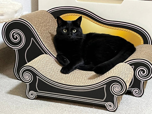 Basicスツールセットがすぐに気に入った、黒猫のあいちゃん