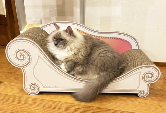 Basicで上手にカリカリ♪ラグドールのラムちゃん