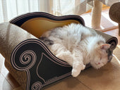 Basicの上でぐっすり♪サイベリアンのりんちゃん