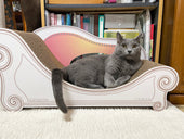 Basicで嬉しそうにくつろぐ、シャルトリューのベルちゃん