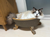 Paceで一日中丸まってぐっすり。ラグドールの獅子丸ちゃん