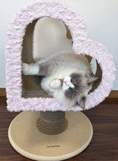 ハートの中で可愛くポーズ♪ラグドールのみきちゃん