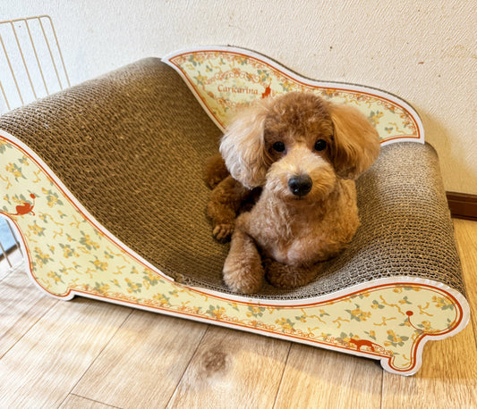 グラングランの奥行きを14cmアップ！カリカリーナがお気に入りのジェイくん