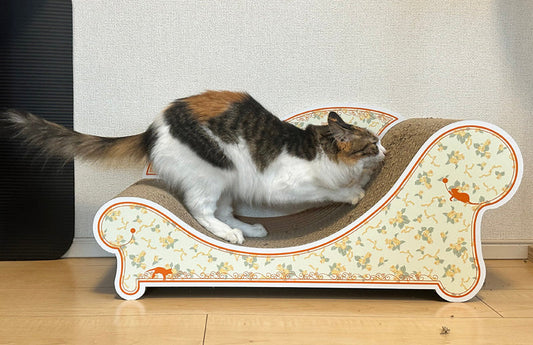 届いてすぐに爪とぎ！Fioreがお気に入りになったうるめちゃん