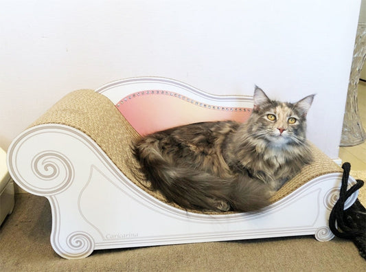 1歳のお誕生日にスワロフスキー付きのグラングラン♪　サイベリアンのラウラちゃん