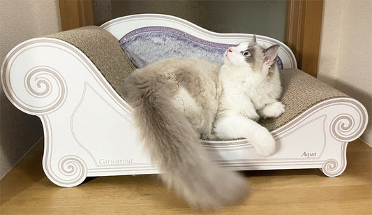 最初は???　でも、使ってみたらバリバリ爪とぎ♪　ラグドールのアクア君