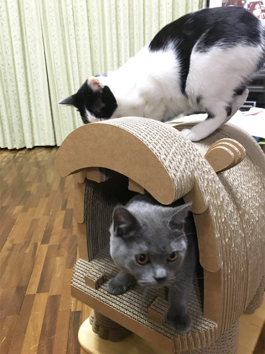 ZOO かば でワクワク♪ ぶりちゃん　ほたるちゃん