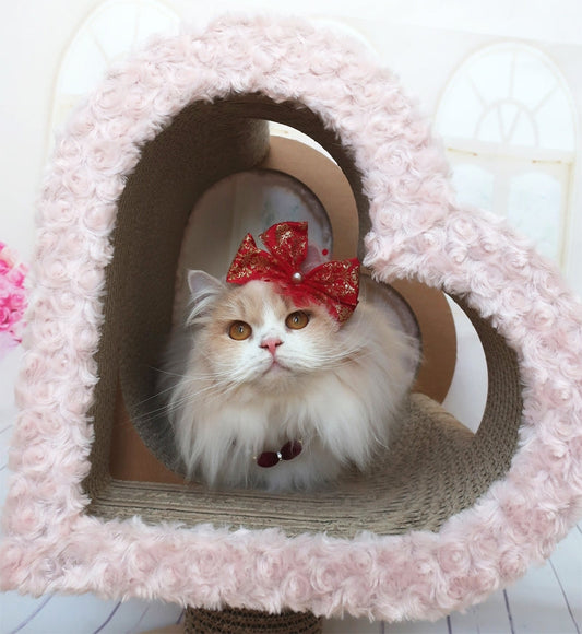 キュートにおめかし♪　Valentinoがお気に入りのもかちゃん