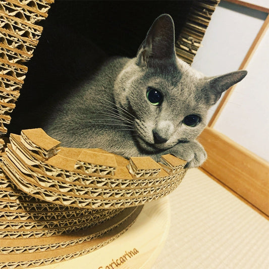 Castelloのテラスでまったり…ロシアンブルーのまぎちゃん