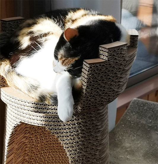 爪とぎしてから屋上でスヤスヤ…が日課のミクちゃん