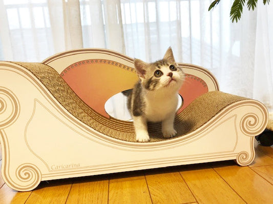 背もたれの穴をくぐるのも楽しい♪ 2.5か月の空珠ちゃん