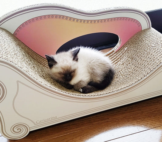 お姉ちゃんから引き継いだBasicで、すやすや眠るリン君