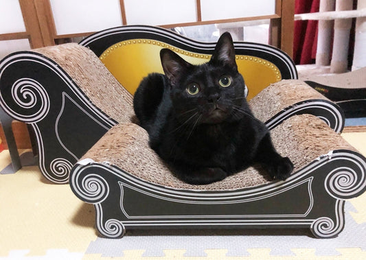 4匹で使っても長持ち。心地よいカーブでくつろぐささみちゃん