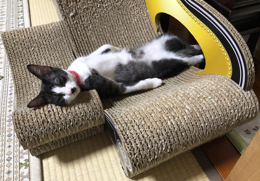 スツールセットを最大限に活用！6か月のトクちゃん