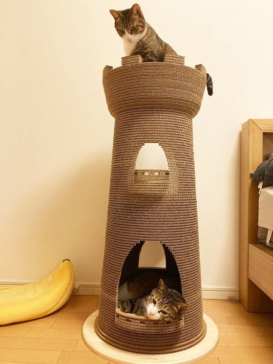 Castelloがお気に入りの2ニャン、まる君とみゅ君
