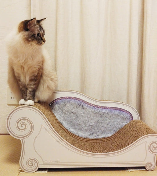 LUCEで毎日バリバリ爪とぎ。ラグドールのピノちゃん