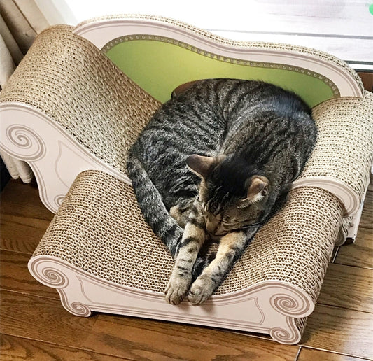 スツールをプラスして広々！ 脚を伸ばしてくつろぐまる君