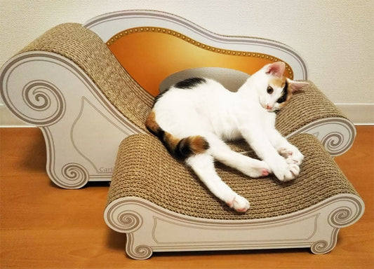 届いてすぐからお気に入り♪ スツールセットを使いこなすベルちゃん