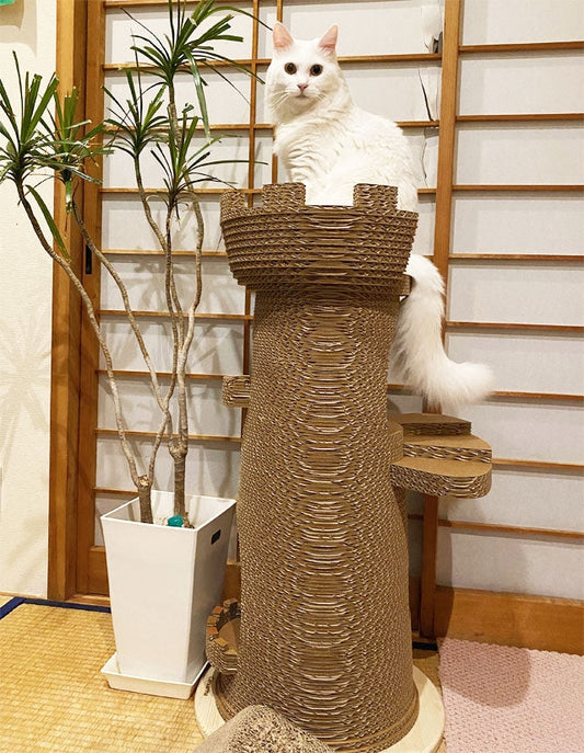 Castelloの屋上から、外の景色を眺めるねいこちゃん