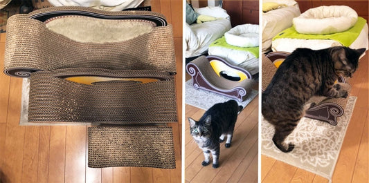 後ろ足で押さえてバリバリ、がマイスタイルのさくらちゃん