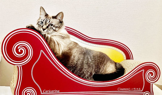 カリカリーナの曲線が体にフィット♪ しなもんちゃん