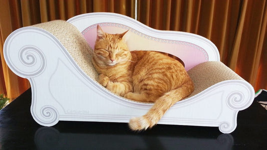 カリカリーナの記念日、5月5日！