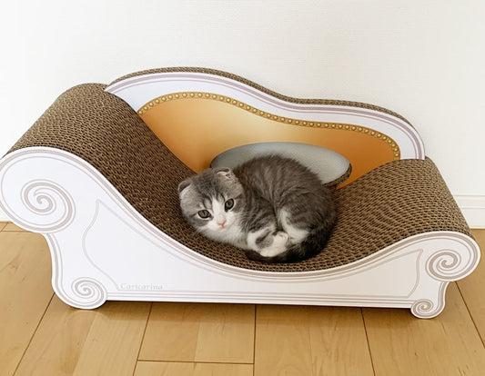 拗ねたときはいつもカリカリーナに? スコティッシュフォールドのネオ君