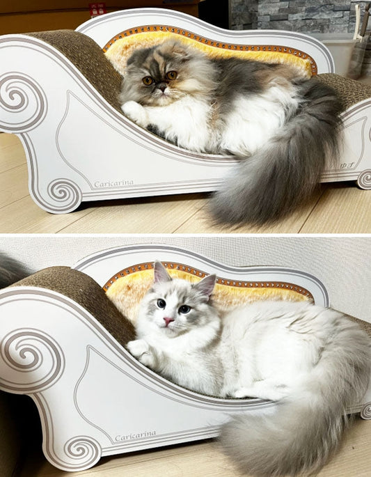 毎日カリカリーナでお昼寝。ゆずちゃんとかぼす君