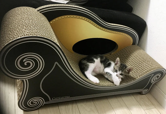 Basicはご飯の後のくつろぎの場♪成長がたのしみなパン大佐君