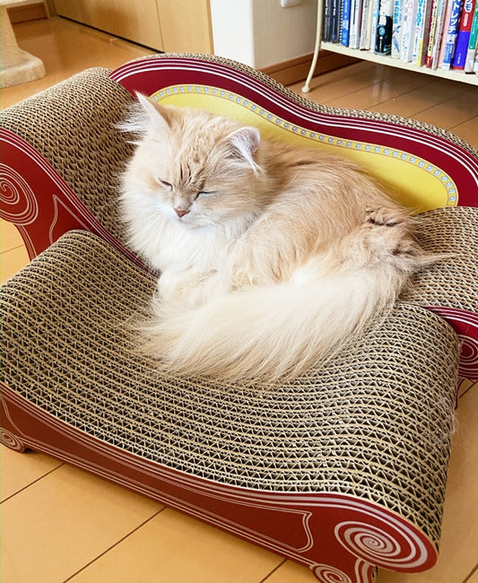 スツールをプラスしたら寝るように。ラガマフィンのフラッフィー君