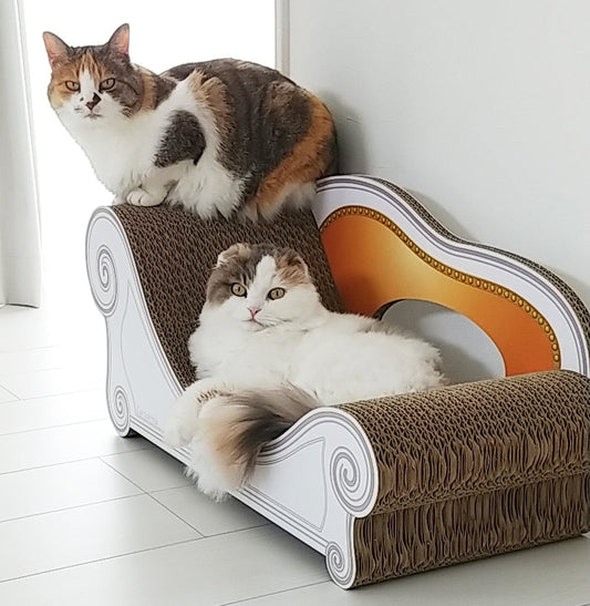 カリカリーナにしたら、2匹仲良く使うように♪あやちゃんともこちゃん