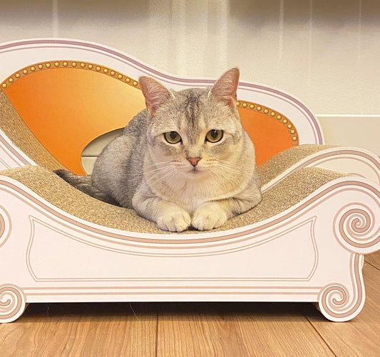 ソファーよりカリカリーナで爪を研ぐように♪バーミラのココちゃん